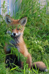 Similar image 22260159