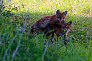 Similar image 22260160