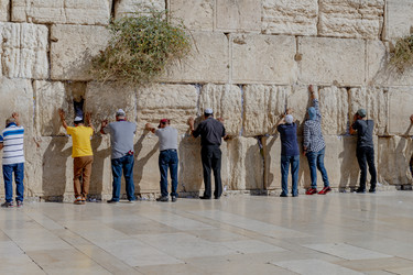 Similar image 22253519