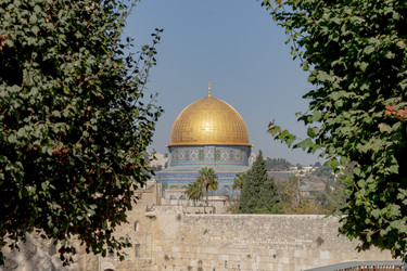 Similar image 22253530