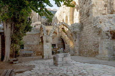 Similar image 22253531