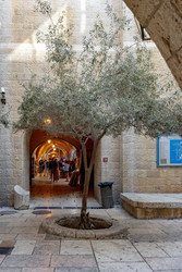 Similar image 22279372