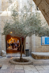 Similar image 22279373