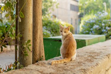 Similar image 22279395