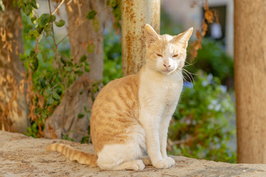 Similar image 22279396