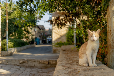 Similar image 22279397