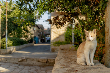 Similar image 22279398