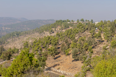 Similar image 22279404