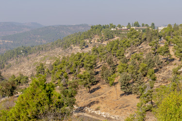 Similar image 22279405