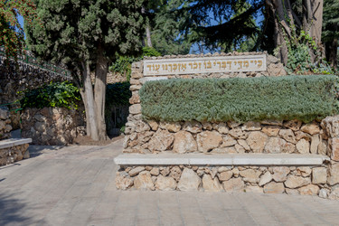 Similar image 22279411