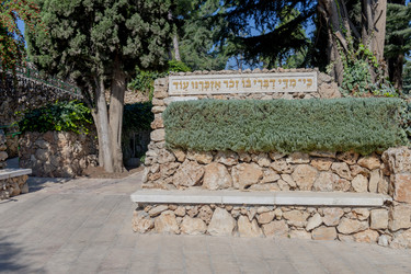 Similar image 22279412