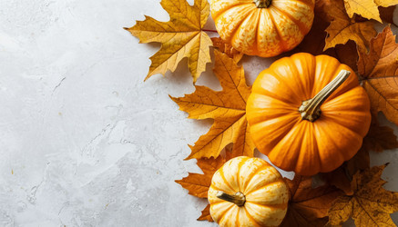 Similar image 22255422