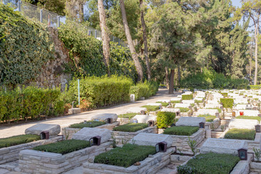 Similar image 22279059