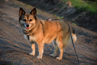 Similar image 22274560