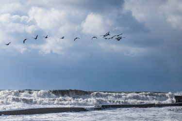 Similar image 22250860