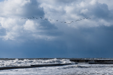 Similar image 22250861