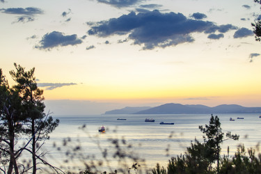 Similar image 22250877