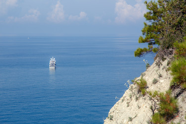 Similar image 22249940