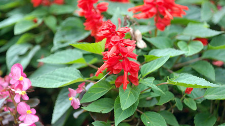 Similar image 22278436