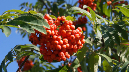 Similar image 22278741