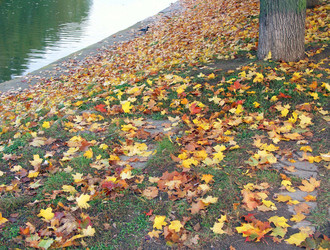 Similar image 22278751