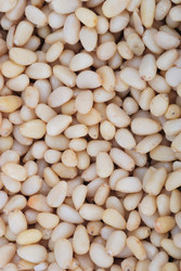 Similar image 22278761