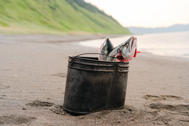 Similar image 22262107