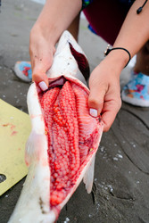 Similar image 22262109