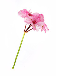 Similar image 22271991