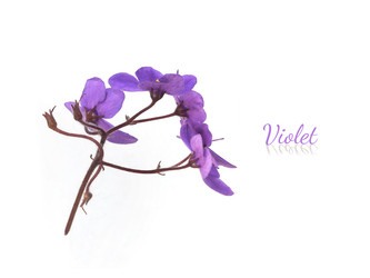 Similar image 22271992