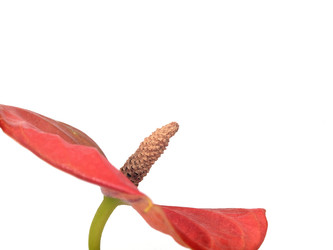 Similar image 22271993