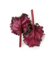 Similar image 22272032