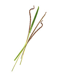 Similar image 22254306