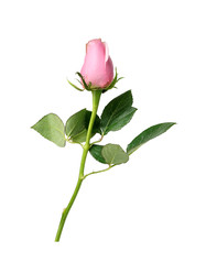 Similar image 22259114