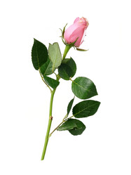 Similar image 22259115