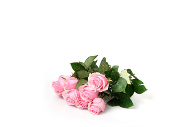 Similar image 22259117