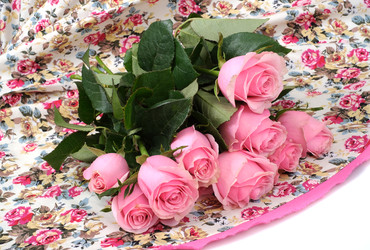 Similar image 22254309