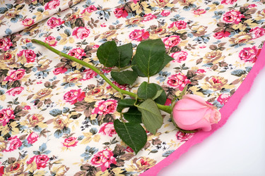 Similar image 22254310