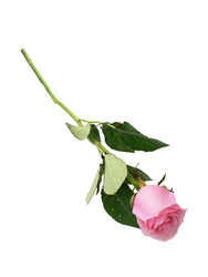 Similar image 22259119