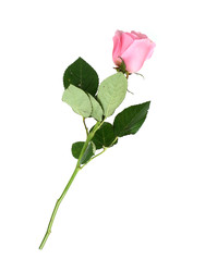 Similar image 22259121