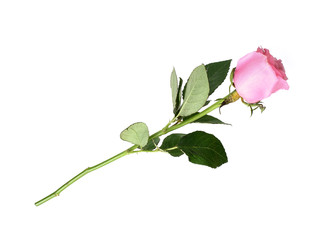 Similar image 22259123