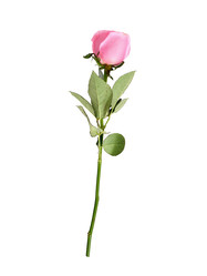 Similar image 22259130