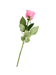 Similar image 22259135