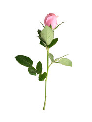 Similar image 22259137