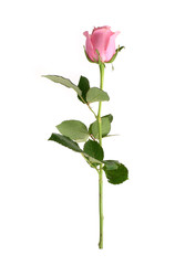 Similar image 22259139