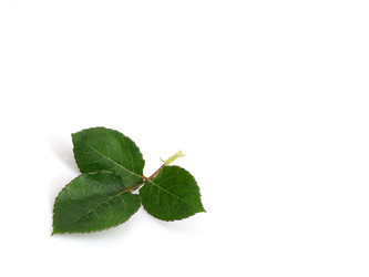 Similar image 22254394