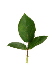 Similar image 22254395