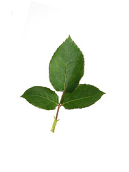 Similar image 22254397