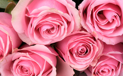 Similar image 22254398