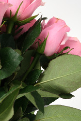 Similar image 22259146